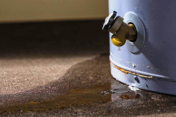 Best Flood damage cleanup  in Holyoke, CO