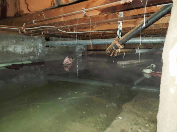 Water damage restoration insurance claims in CO