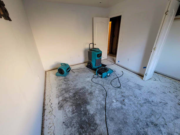 Best Flood restoration services  in Holyoke, CO