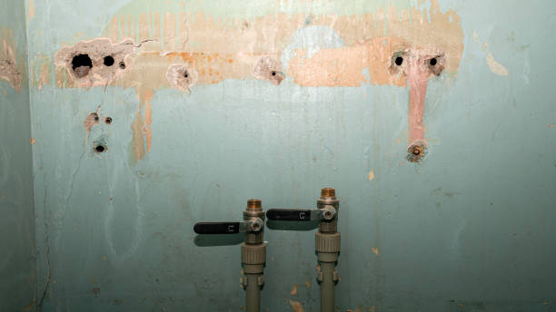  Holyoke, CO Water damage restoration Pros