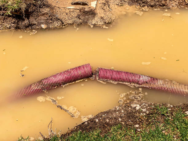 Best Water damage restoration cost  in Holyoke, CO